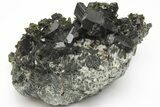 Lustrous, Epidote Crystal Cluster on Actinolite - Pakistan #213426-1